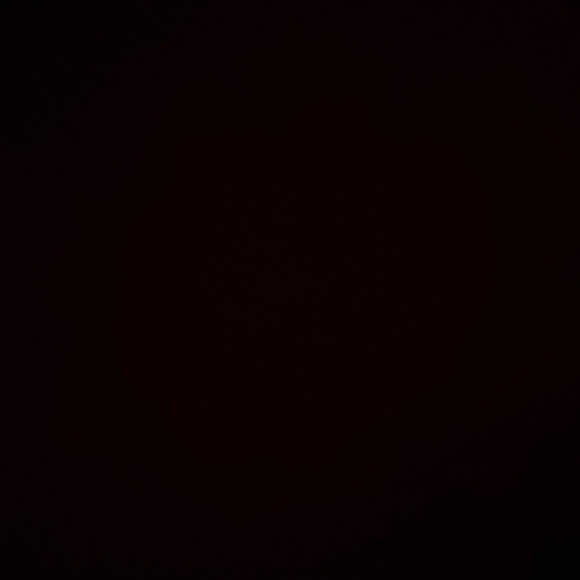 Meet your Posher, Giada - Picture 1 of 1